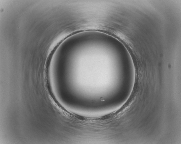 X0000060781469200511171230