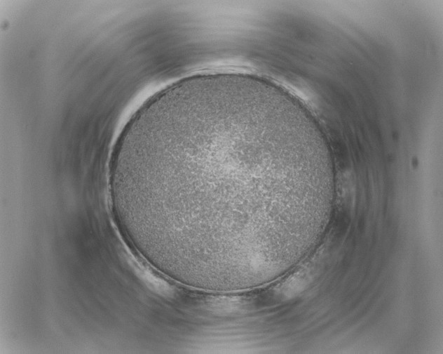 X0000060781470200511171230