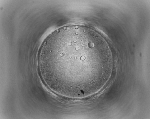 X0000060781471200511171230