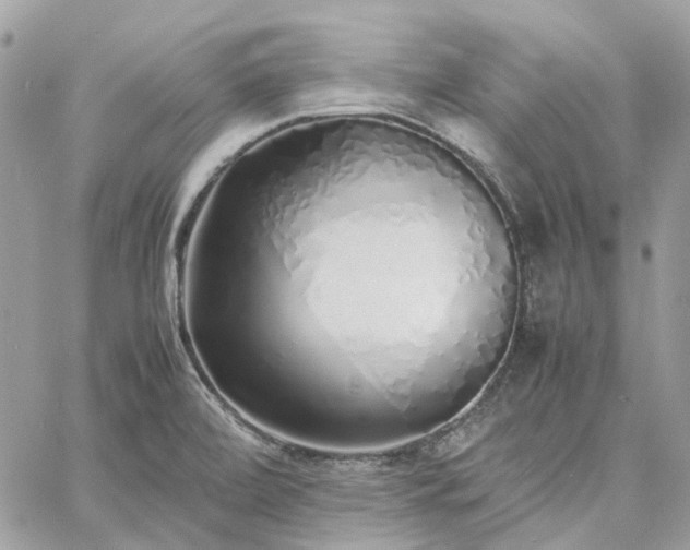 X0000060781472200511171230