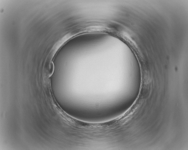 X0000060781473200511171230