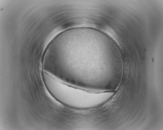 X0000060781476200511171230