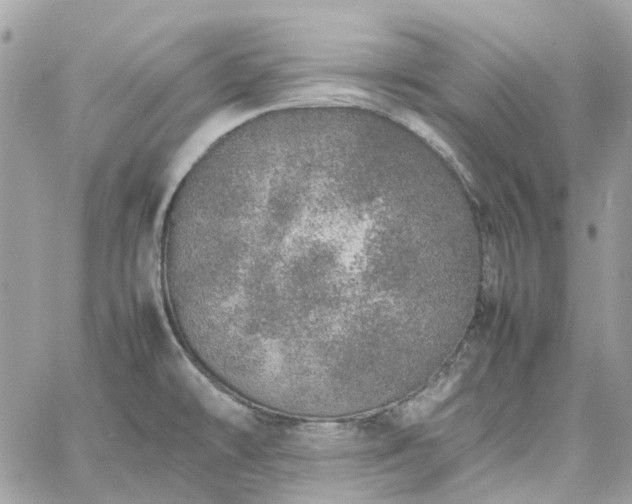 X0000060781478200511171230