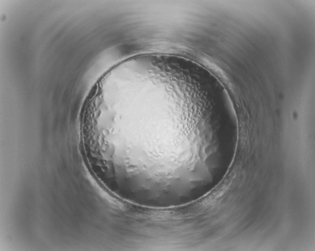 X0000060781479200511171230