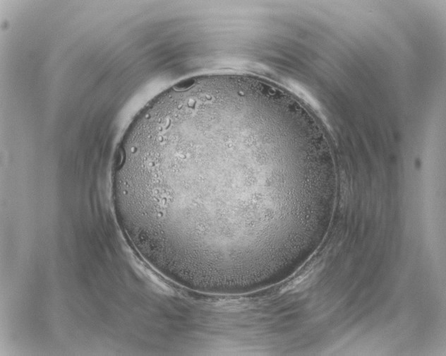 X0000060781480200511171230