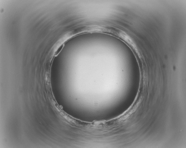 X0000060781481200511171230