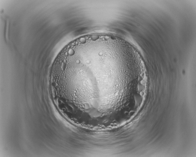 X0000060781483200511171230