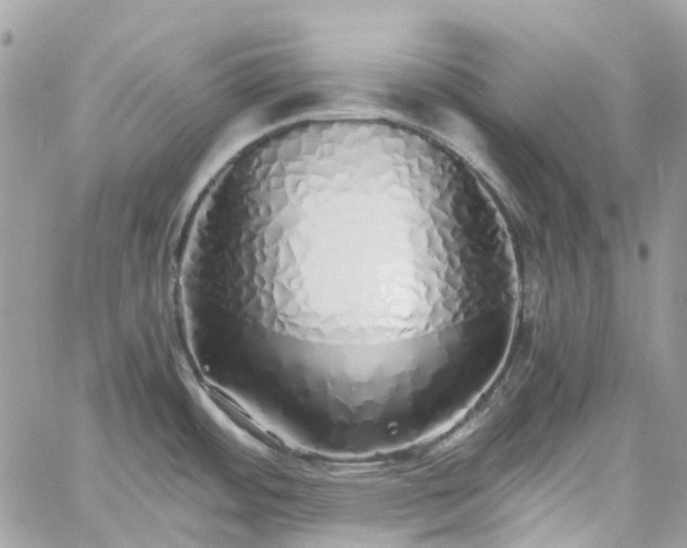 X0000060781484200511171230