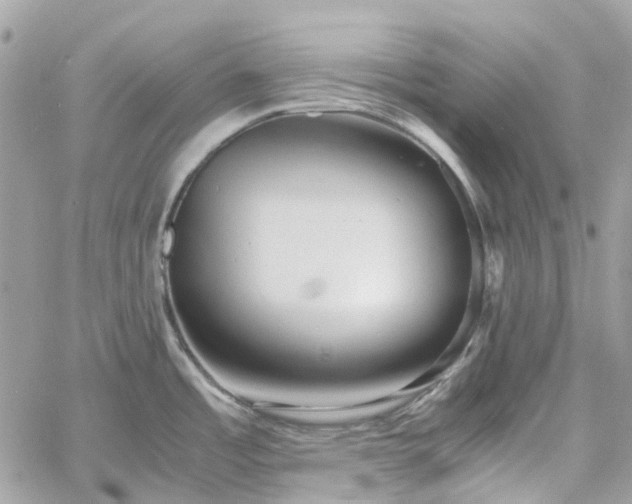 X0000060781485200511171230