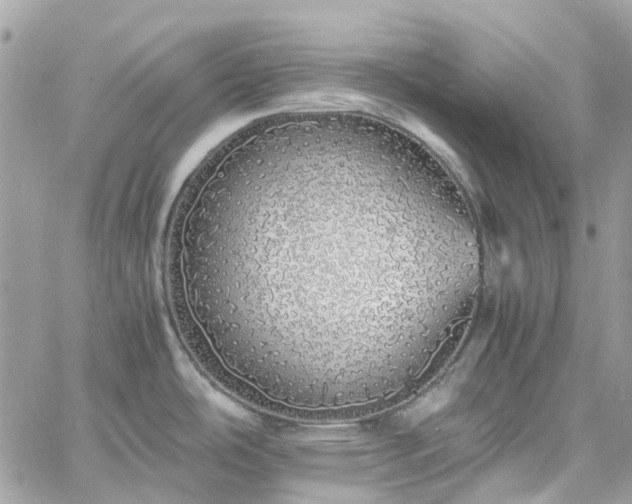 X0000060781486200511171230