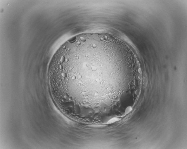 X0000060781487200511171230