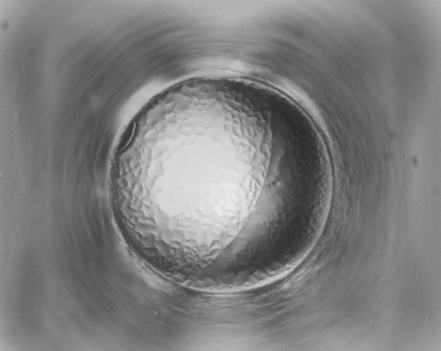 X0000060781488200511171230