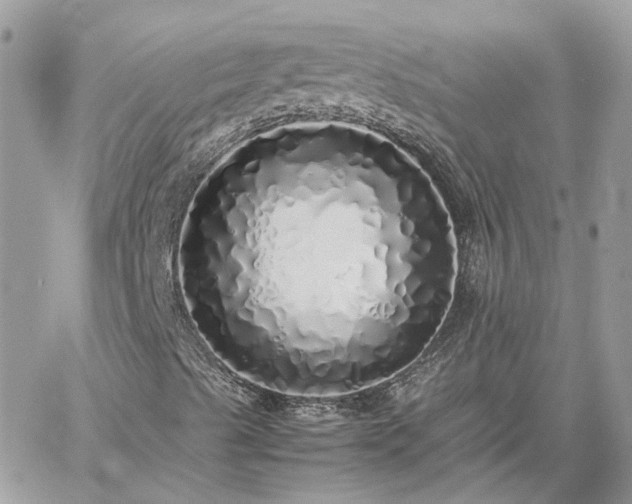 X0000060781489200511171229