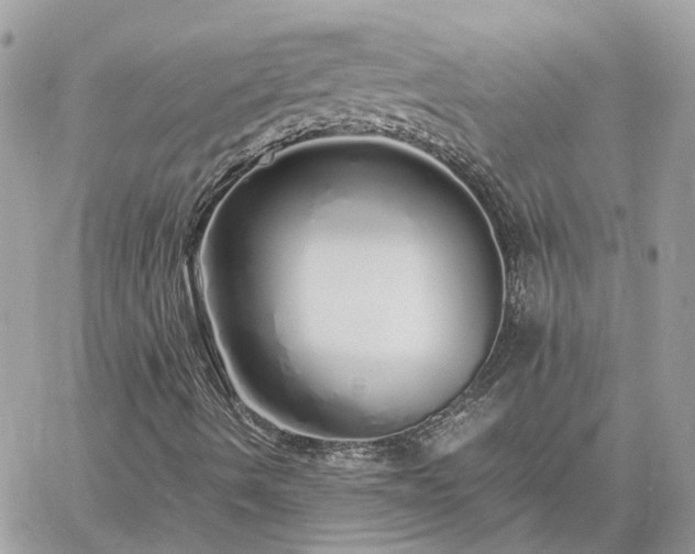 X0000060781490200511171229