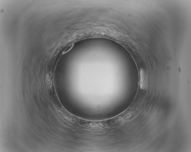 X0000060781491200511171229