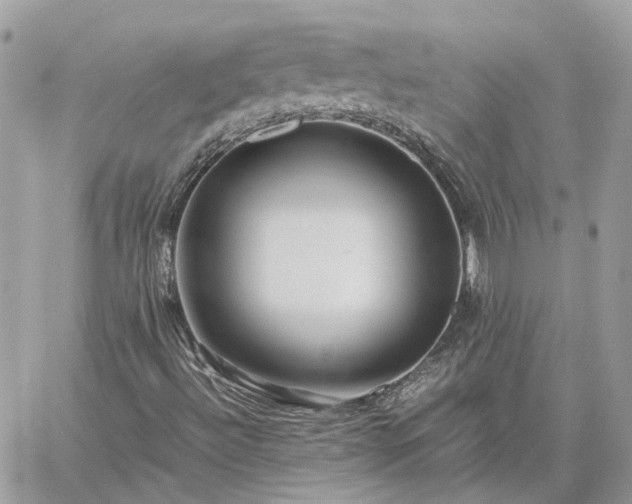 X0000060781492200511171229