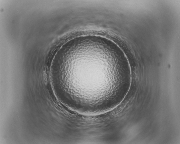 X0000060781493200511171229