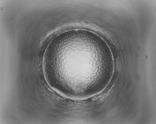 X0000060781494200511171229