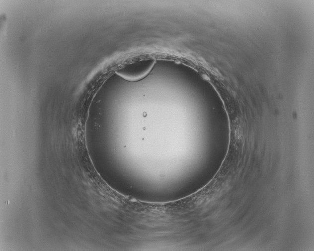 X0000060781495200511171229