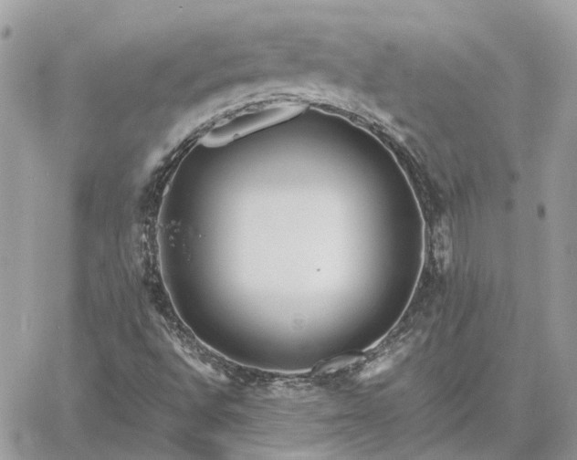 X0000060781496200511171229