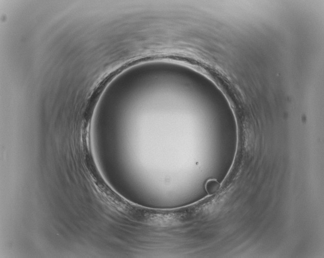 X0000060781497200511171229