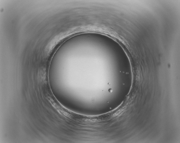 X0000060781499200511171229