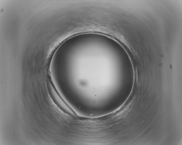 X0000060781500200511171229