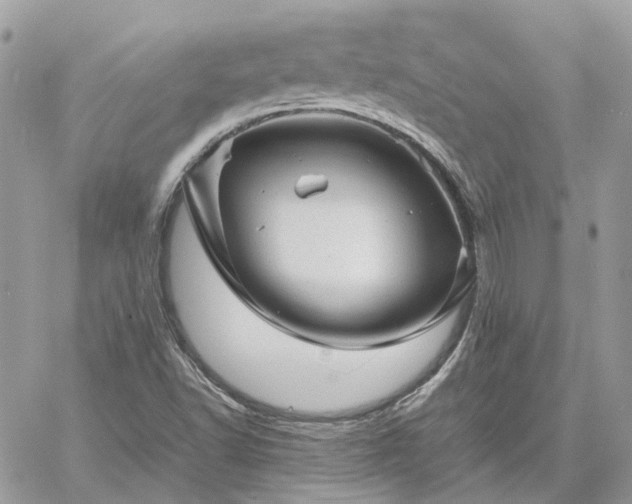 X0000060781502200511171229