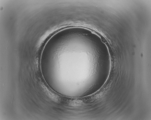 X0000060781503200511171229