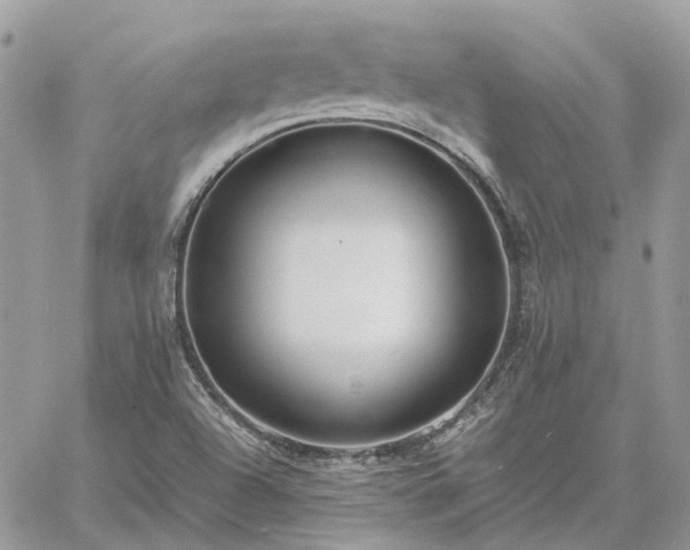 X0000060781504200511171229