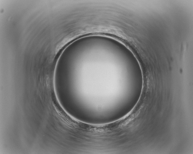 X0000060781505200511171229