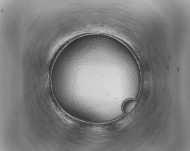 X0000060781507200511171230