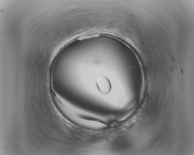 X0000060781508200511171230