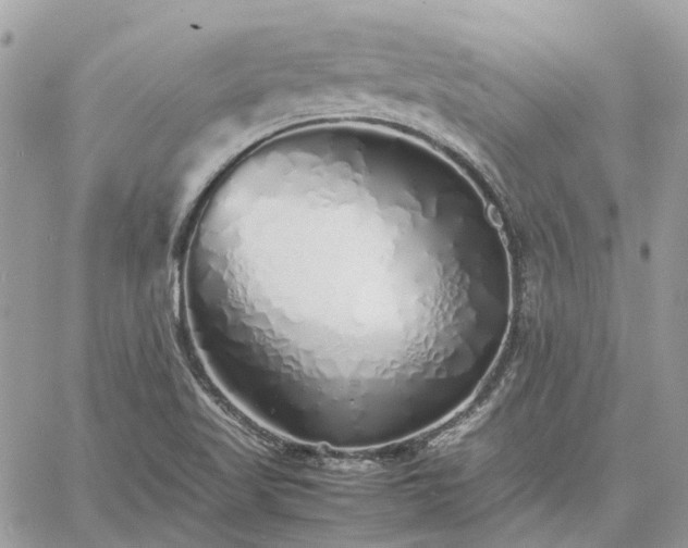 X0000060781509200511171230