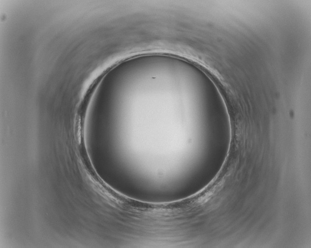 X0000060781510200511171230