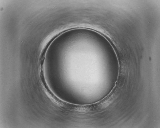 X0000060781511200511171230