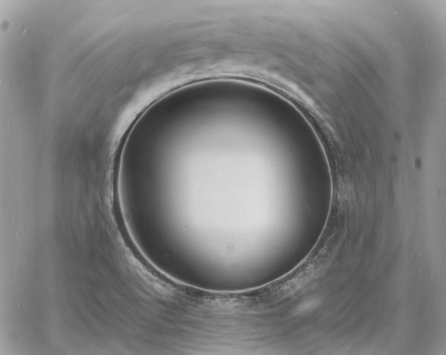 X0000060781512200511171230