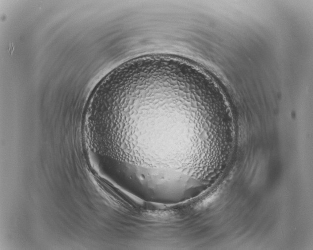 X0000060781513200511171230