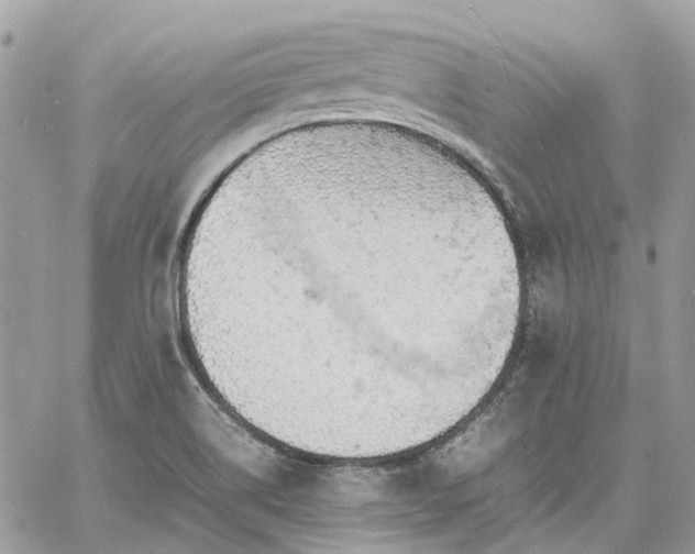 X0000060781514200511171230