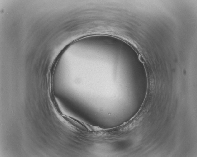 X0000060781515200511171230