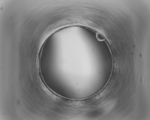 X0000060781516200511171230