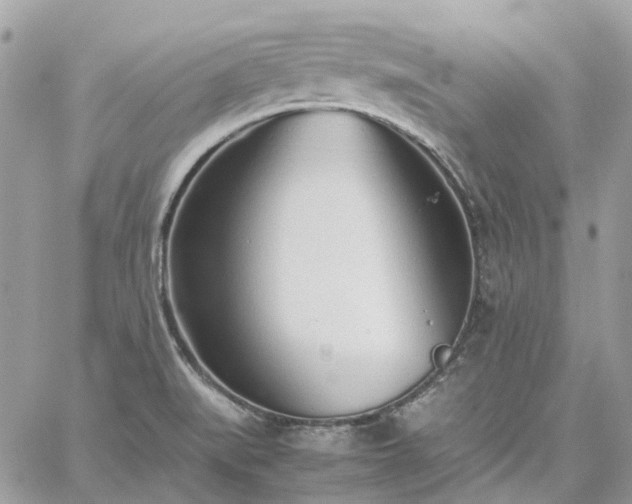 X0000060781519200511171230