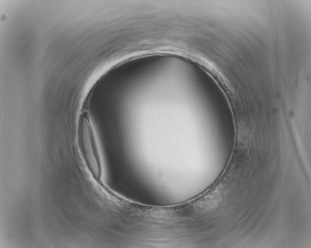 X0000060781520200511171230