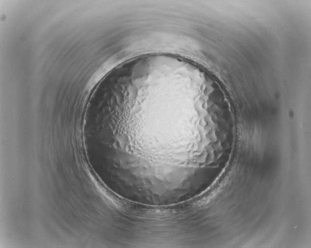 X0000060781521200511171230