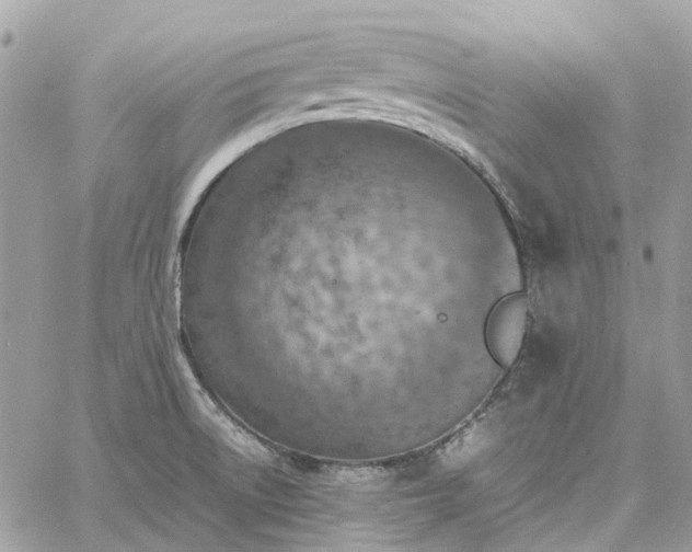 X0000060781522200511171230