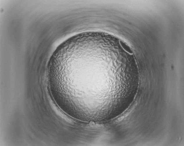 X0000060781526200511171230