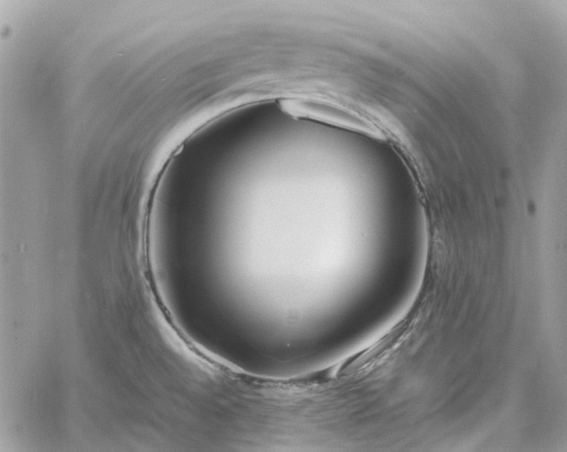 X0000060781528200511171230