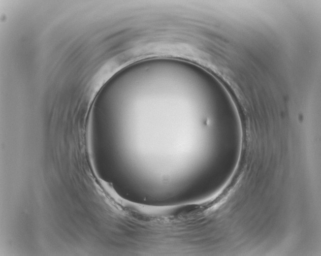 X0000060781529200511171230