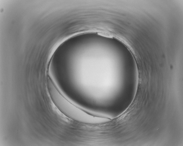 X0000060781532200511171230