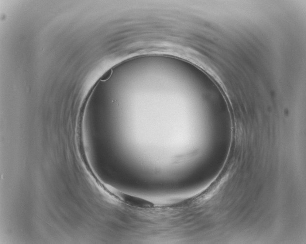 X0000060781533200511171230